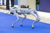 Международная выставка «Связь-2024»